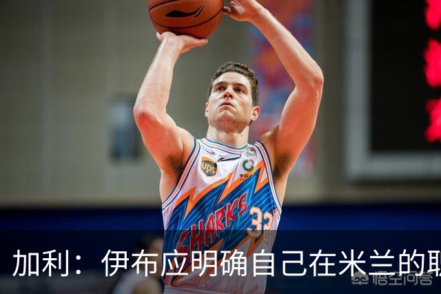 加利：伊布应明确自己在米兰的职责，现在没人知道他的职责是什么