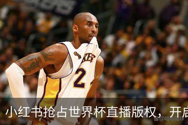 小红书抢占世界杯直播版权，开启全民观赛新纪元！