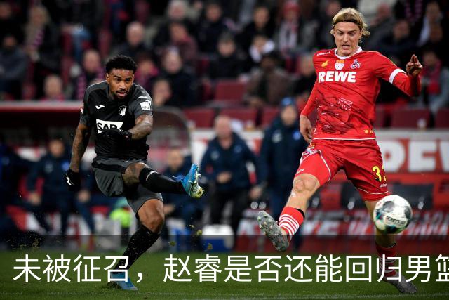 未被征召，赵睿是否还能回归男篮？郭士强的选择曝光，周琦回归成定局
