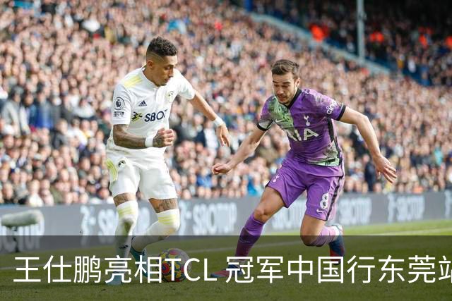 王仕鹏亮相TCL 冠军中国行东莞站，TCL小蓝翼空调实力圈粉