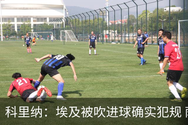 科里纳：埃及被吹进球确实犯规 萨拉赫倒地正常接触